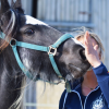 Ranch de Gégé - Equi coaching