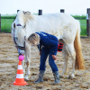 Ranch de Gégé - Equi coaching