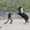 Parc animalier du Herisson