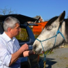 BERTRAND Olivier, vétérinaire à Han sur Lesse