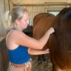 equina-formation-en-shiatsu-equin