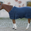 sellerie-de-peruwelz