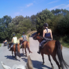 Ferme Equestre de  Martué