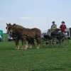 Ferme Equestre de  Martué