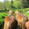 Ferme Equestre de  Martué