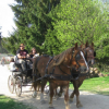 Ferme Equestre de  Martué