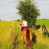 Ferme Equestre de  Martué