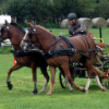 ferme-equestre-de-martue