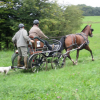 ferme-equestre-de-martue