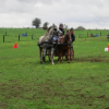 ferme-equestre-de-martue