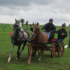 ferme-equestre-de-martue