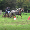 ferme-equestre-de-martue