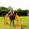 working-equitation-belgique