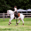 working-equitation-belgique