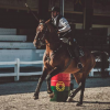 Working Equitation Belgique