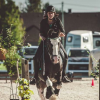 working-equitation-belgique