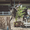 working-equitation-belgique