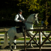 working-equitation-belgique