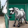 abreuvoir-transportable