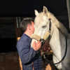 Bruno Vandoren - Osteopathe equin - Genappe