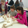 ESAO FRANCE ÉCOLE OSTÉOPATHIE ANIMALE