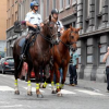 Police à cheval