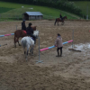 Formation moniteur equitation LEWB