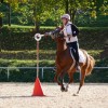 austrian-equestrian-federation