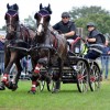 austrian-equestrian-federation