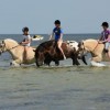 Danish Equestrian Federation