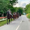 Danish Equestrian Federation