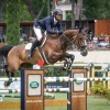 italian-equestrian-federation