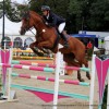 federation-luxembourgeoise-des-sports-equestres