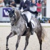 federation-luxembourgeoise-des-sports-equestres