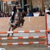 federation-luxembourgeoise-des-sports-equestres