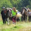 federation-luxembourgeoise-des-sports-equestres