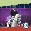 Federacao-equestre-portuguesa