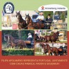 Federacao-equestre-portuguesa