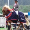 Norwegian Equestrian Federation