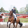 Norwegian Equestrian Federation