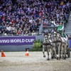 Féderation équestre internationale ( Fei )