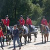 federation-suisse-des-sports-equestres