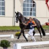 royal-dutch-equestrian-federation