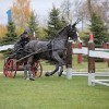 Federation equestre polonaise