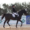 the-cyprus-equestrian-federation