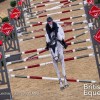 british-equestrian