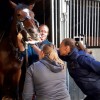 De Morette clinique vétérinaire - Dierenkliniek De Morette