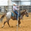 Belgium Extreme Cowboy Association