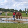 Belgium Extreme Cowboy Association