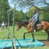 Belgium Extreme Cowboy Association